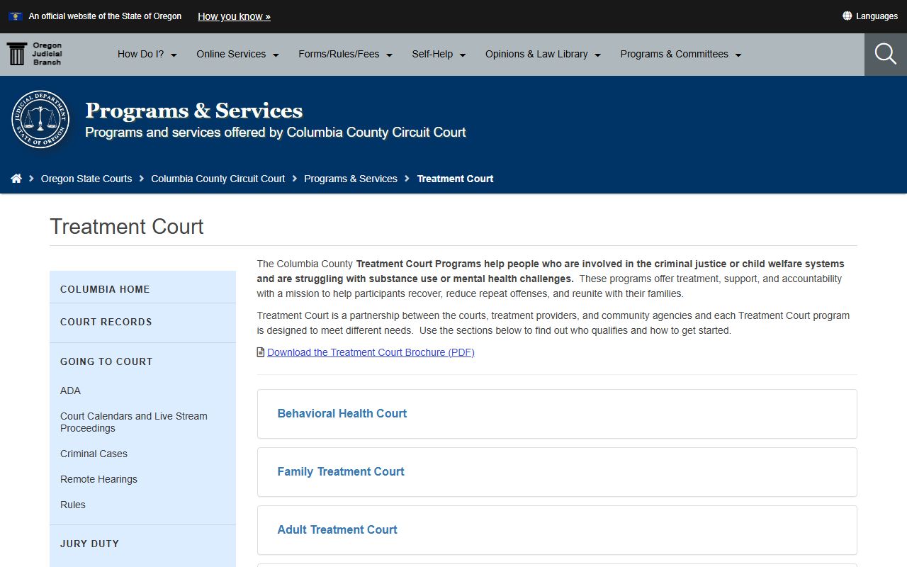 Columbia County Circuit Court treatment court programs